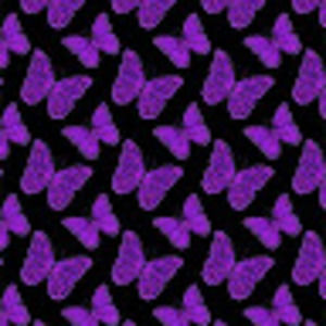 Meet your Posher, Kiersten